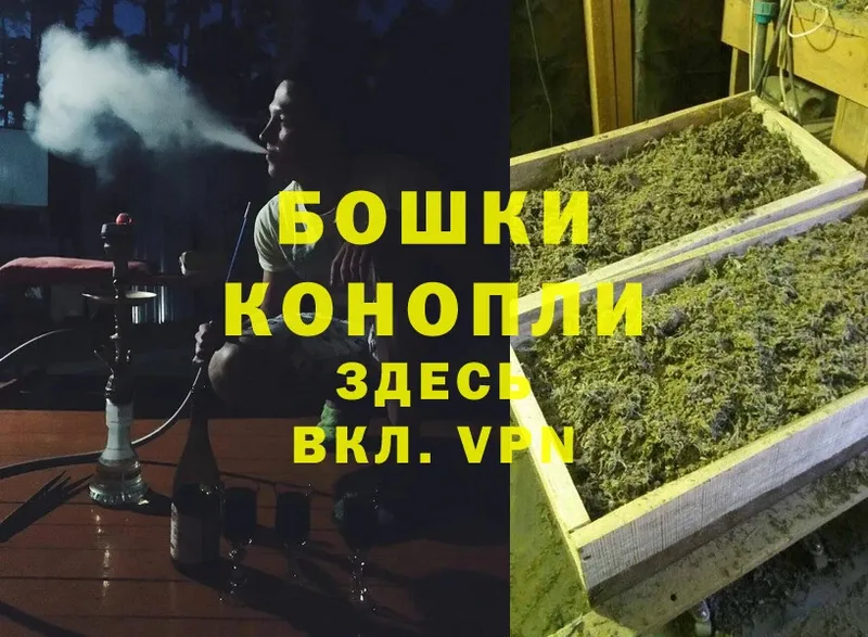 Бошки Шишки OG Kush  купить наркотики сайты  Калач 